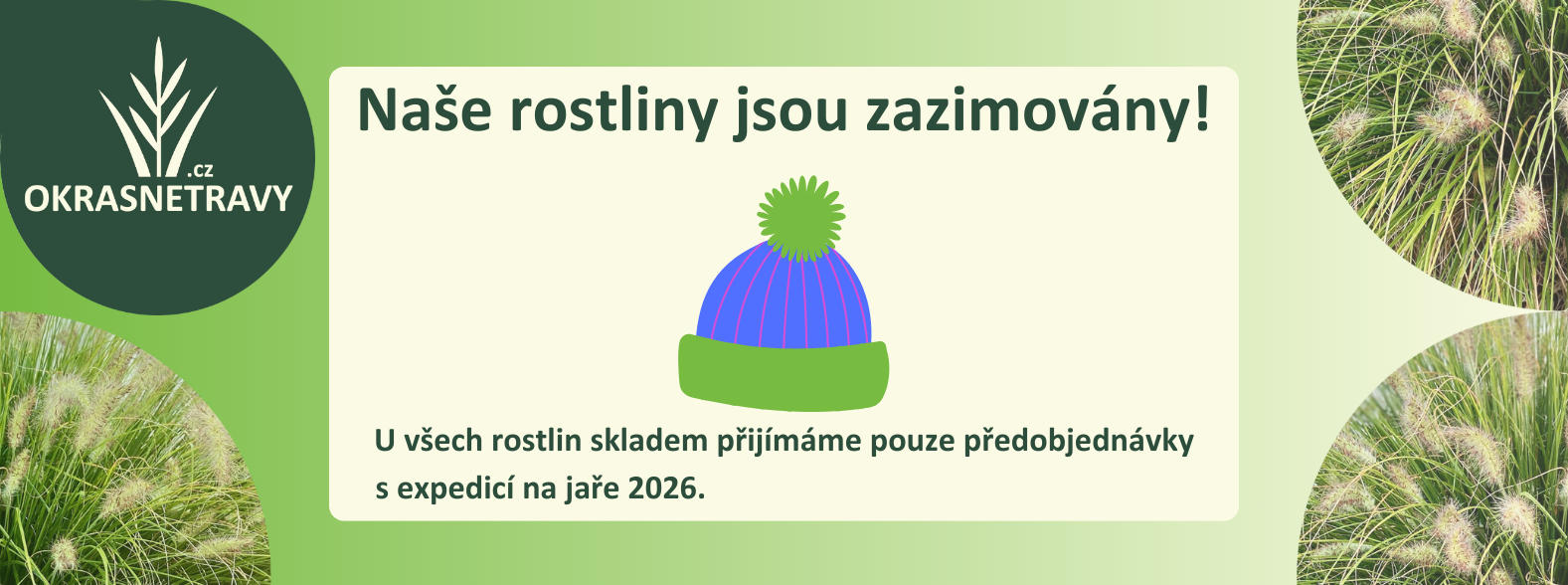 ZAZIMOVANI trávy kategorie